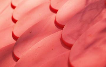 Furzehill plastic roof costs