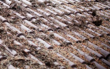 Furzehill roof cleaning companies