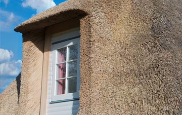 Furzehill thatch roof disadvantages