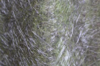 Furzehill fibreglass roof work